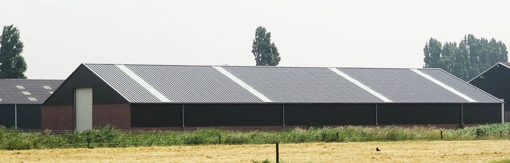 Hallenbouw